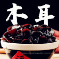 high qulity Black fungus for sale